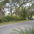 DSCN2259